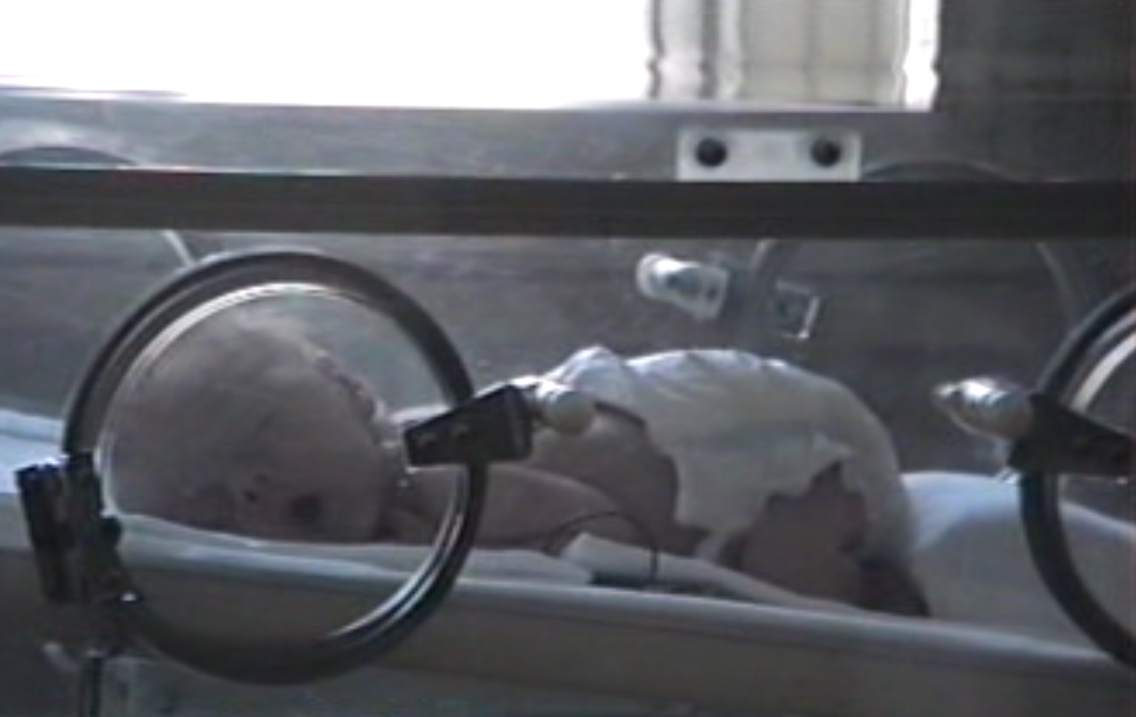Terapia intensiva neonatale, una bambina “grande” racconta la sua esperienza